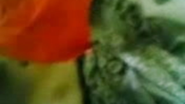 हत्यारे और hd वीडियो सेक्स पैर