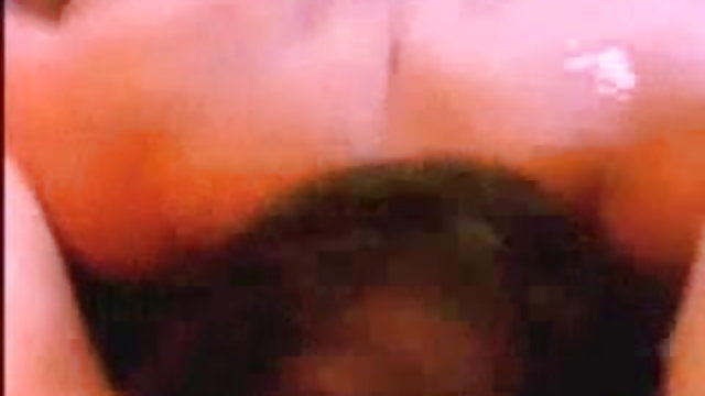 गुलाबी sexi vidiya सीगल के लिए