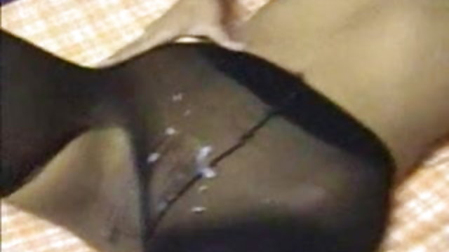 लातीनी पूंछ पक्षियों सेक्सी वीडियो वीडियो परिपक्व चूत